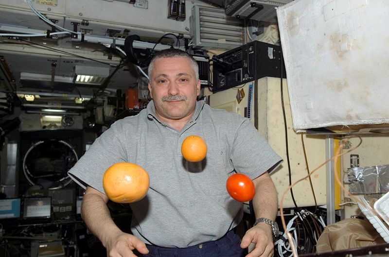 File:ISS-15 Fruits.jpg