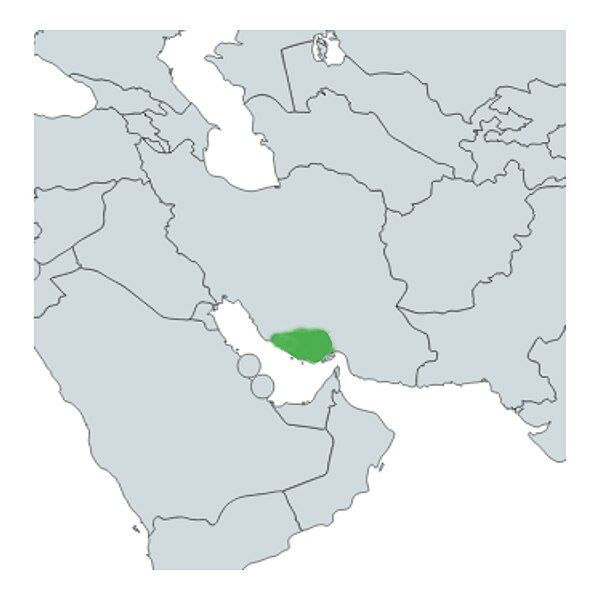 File:Larestan.jpg