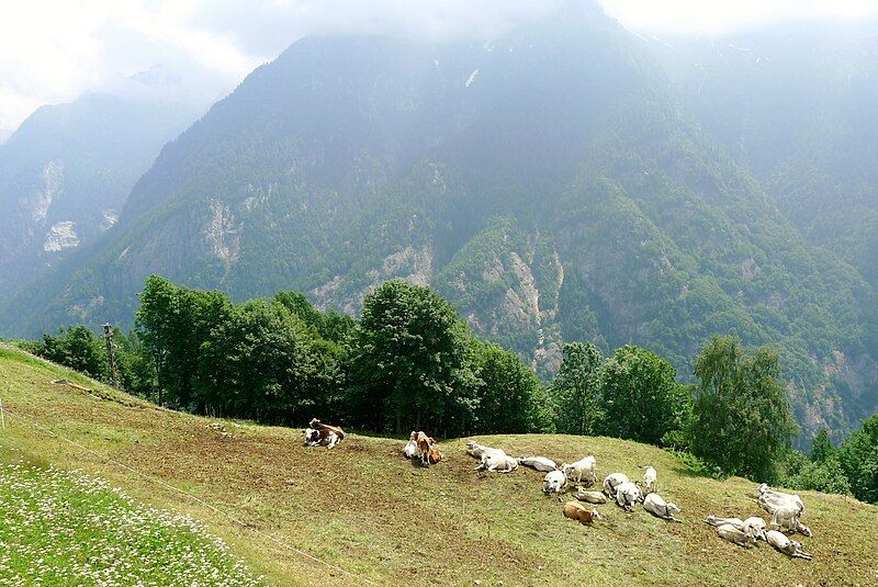 File:Lower Italian alps.JPG