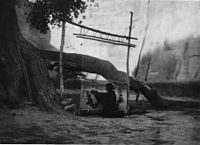 Navajo Weaver, c. 1907[43]