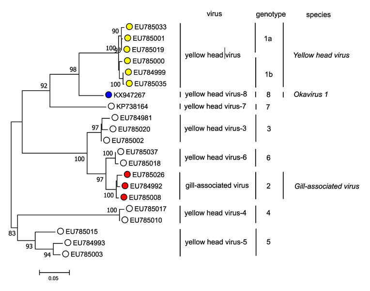 File:OPSR.Roni.Fig3.v4.png