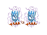 2j21: HUMAN P53 CORE DOMAIN MUTANT M133L-V203A-N239Y-N268D-R282W