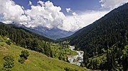 The Pahalgam valley in Jammu and Kashmir is covered with a temperate coniferous forest.[6]