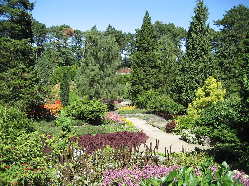 File:Rock Gardens.JPG