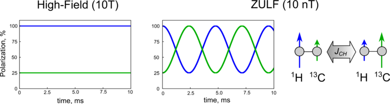 File:Spin evolution.png