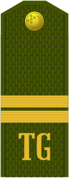 File:Turkmenistan army OR-5.svg