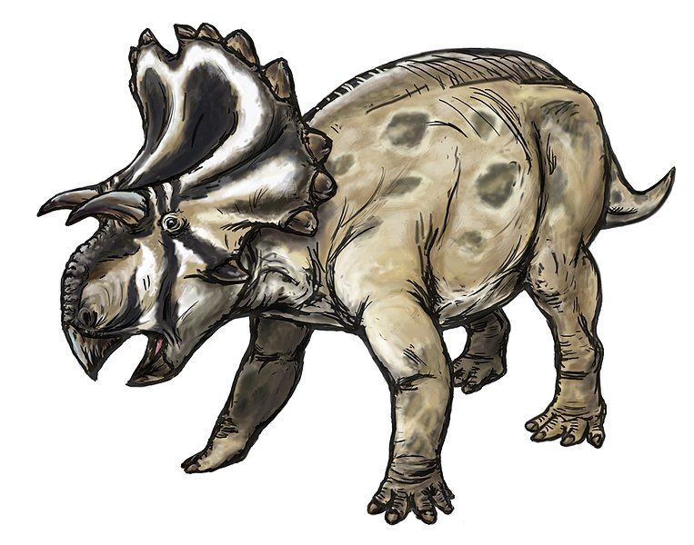 File:Yehuecauhceratops.jpg