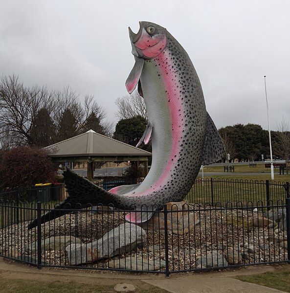 File:Adaminaby Big Trout.jpg