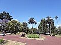 Albert Park in early summer