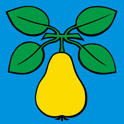 File:CHE Birr Flag.svg