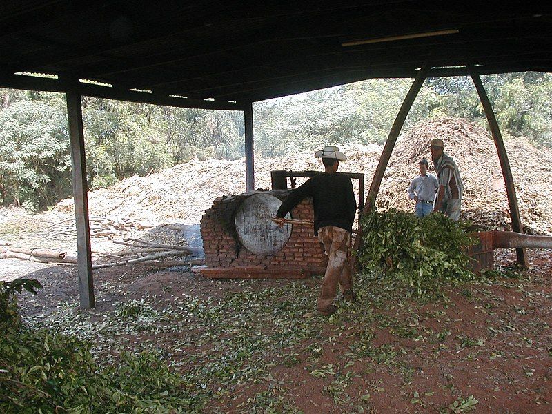 File:Cargando Hojas.jpg