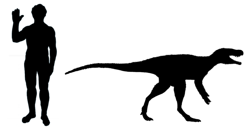 File:Chindesaurus scale.png