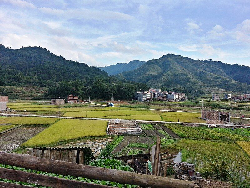 File:Dongxing Village.jpg