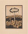 Dripping mushroom (1916)[35]