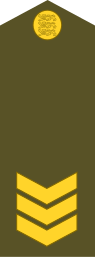 File:Estonia-Army-OR-8.svg