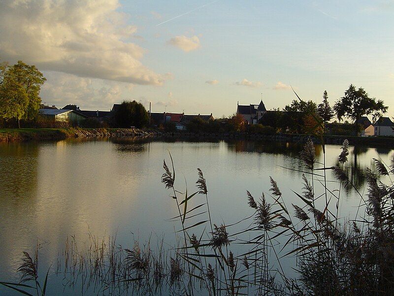 File:Etang des Cerqueux.jpg