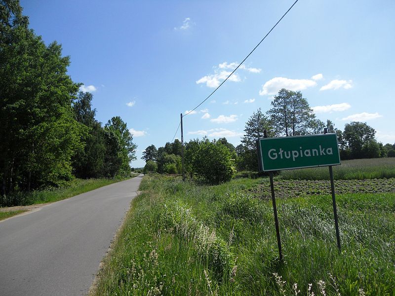 File:Głupianka.jpg