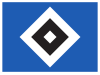 HSV Logo.