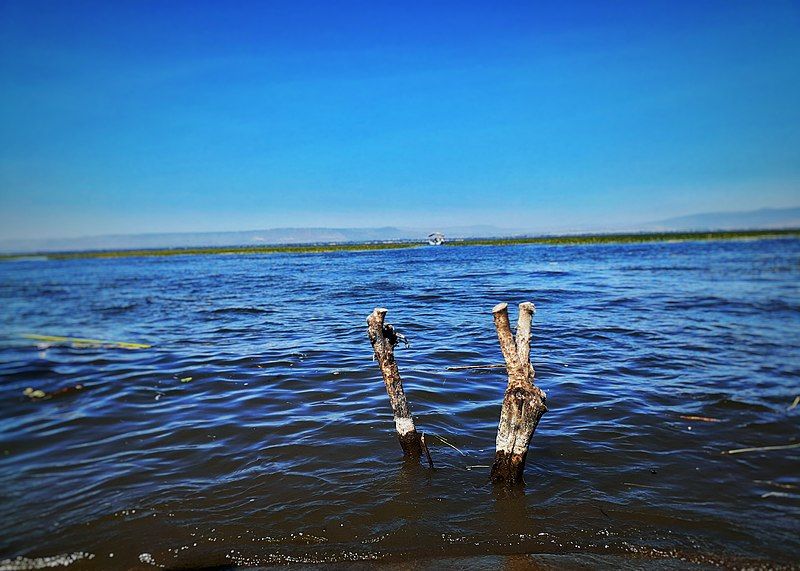 File:Hawassa lake, Ethiopia.jpg