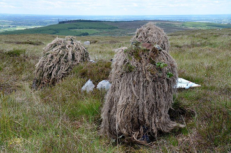 File:Irish Army snipers.jpg