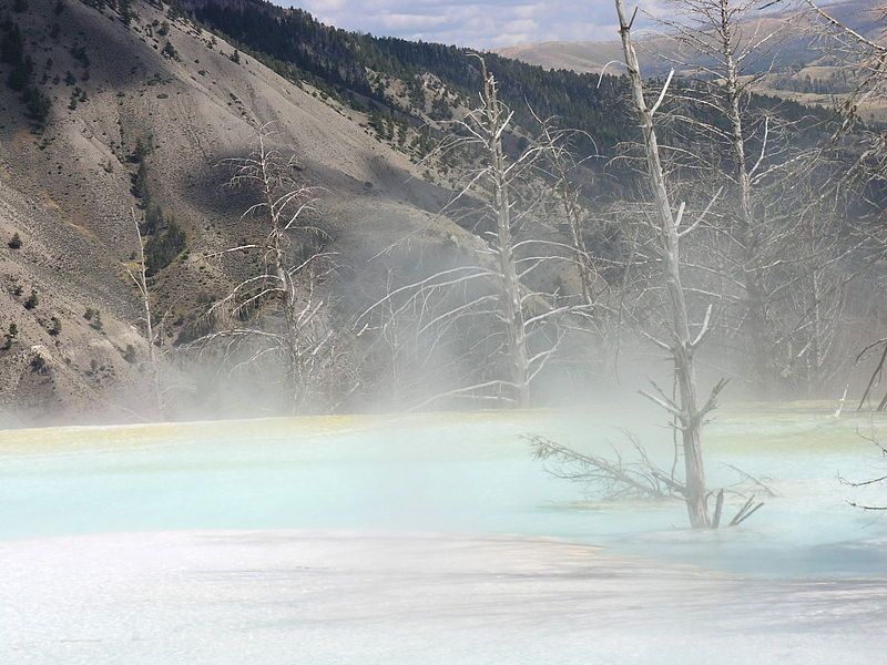 File:Mammoth Hot springs.JPG