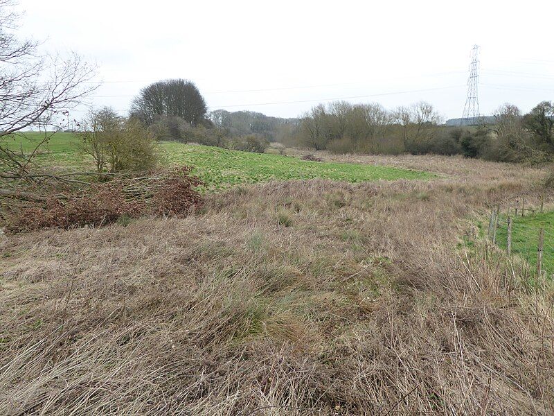 File:Mawsley Marsh 8.jpg