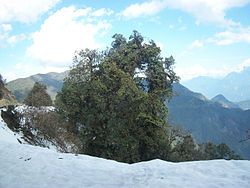 Aerial view of Mayodia Pass