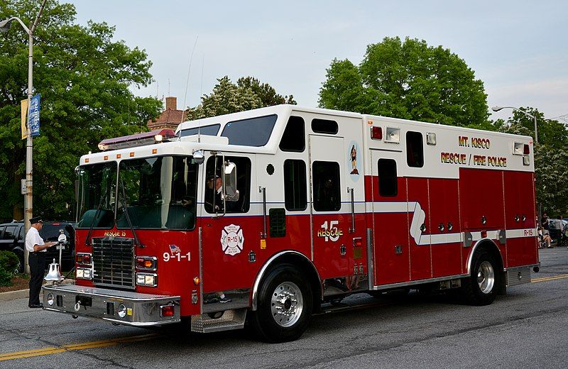 File:Mt. KiscoFD3.jpg