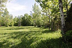 Nedremaa wooded meadow