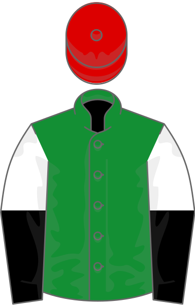 File:Owner Jumeirah Racing.svg