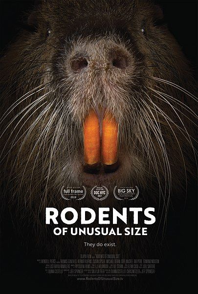 File:ROUS Poster2017.jpg