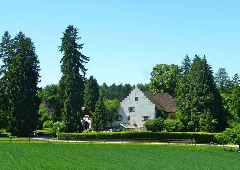 File:Schloss Wyden.JPG