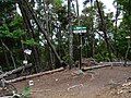 The top of Mount Mitsuji Peak