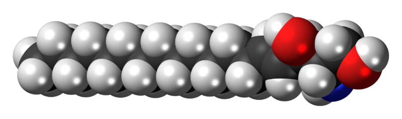 File:Sphingosine-3D-spacefill.png