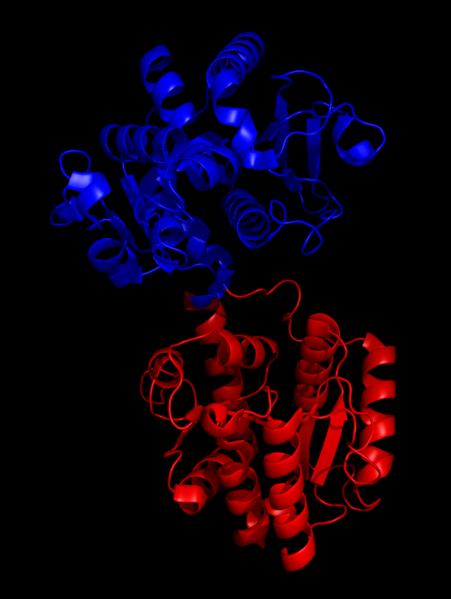 File:Sucrose Phosphate Synthase.png