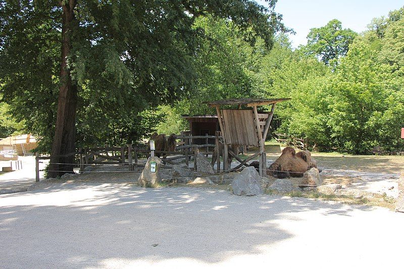 File:TierparkHaag 6801.JPG