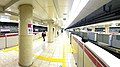 Oedo Line platforms