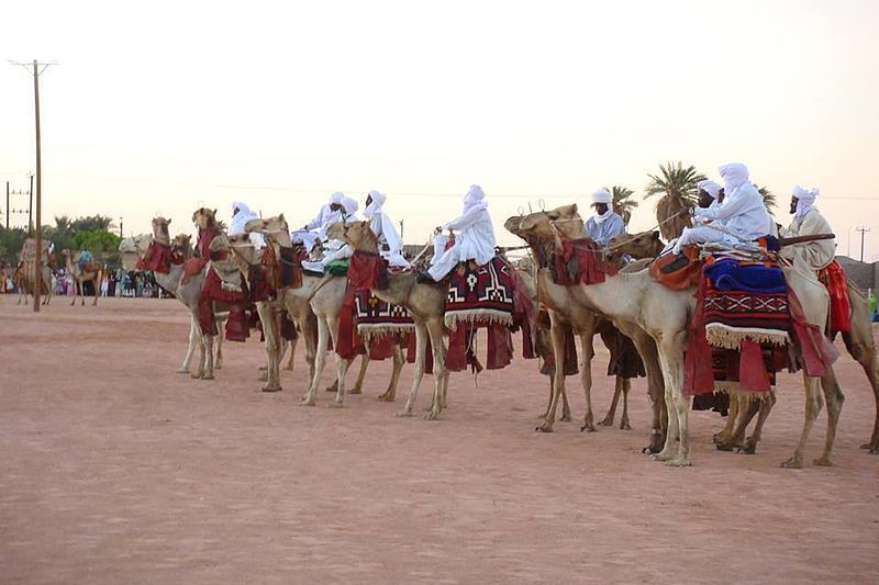 File:Toubou camel show.jpg