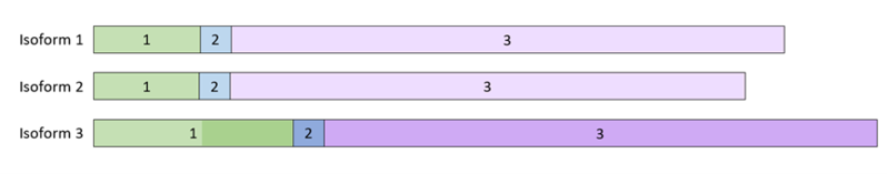 File:UBALD1 isoforms.png