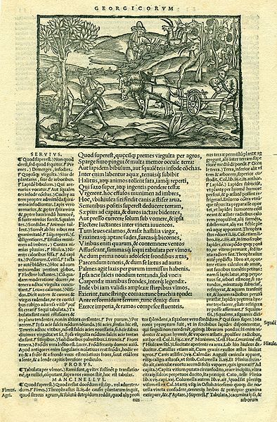 File:Vergilius, Basel 1544.jpg