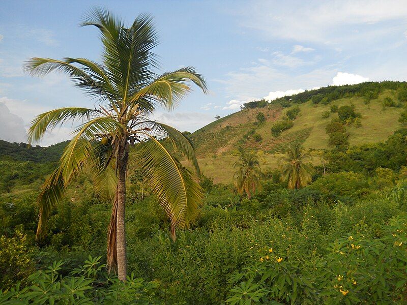 File:Zanglais, Saint-Louis-du-Sud.jpg