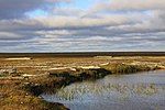 Gydansky NP