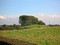 The Knockland Hill, locally referred to in Kilmaurs as 'Bowie's Munt.'