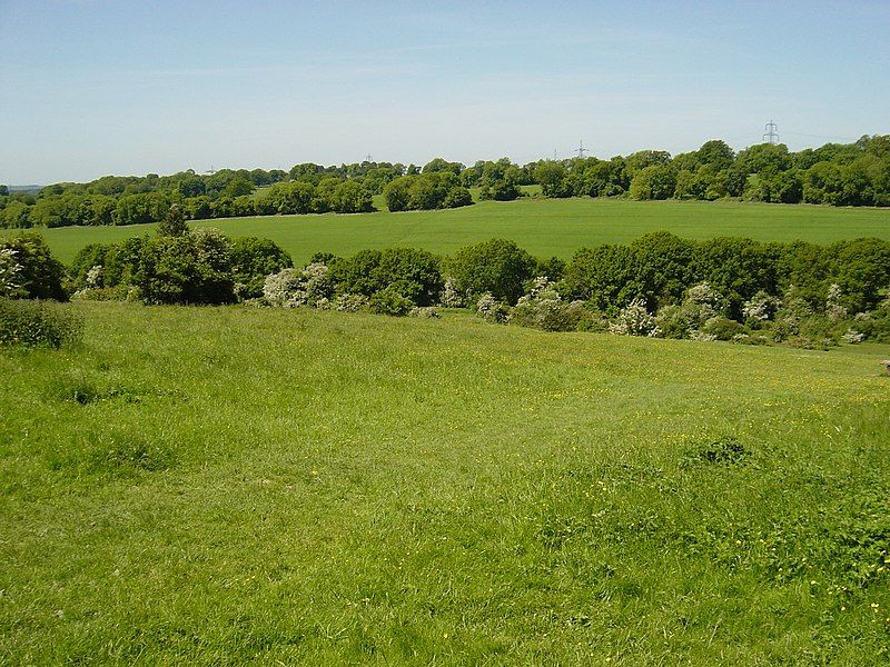 File:CatheringtonDown.JPG