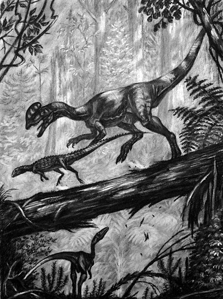 File:Dilophosaurus chasing Scutellosaurus.jpg