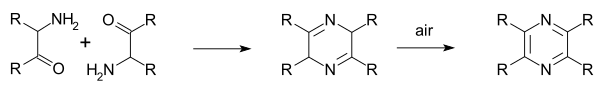 File:Gutknecht Pyrazine Synthesis.svg