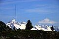 HB9XBG-Antenne 7MHz