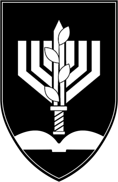 File:Hashmonaim Brigade idf.png