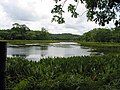 Lake Ngardok