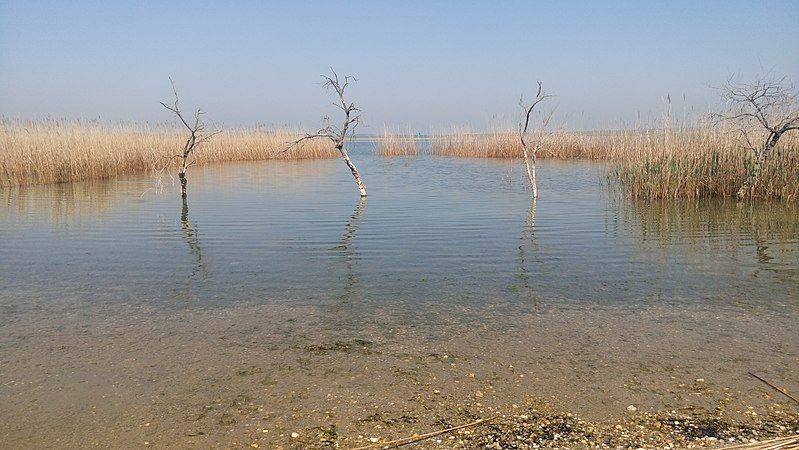 File:Lake Picrolimni 14.jpg